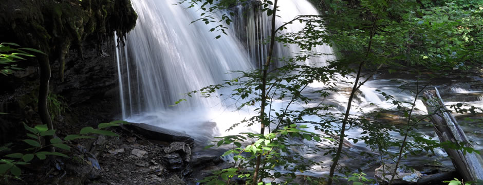 无死角防护的电话轰炸机