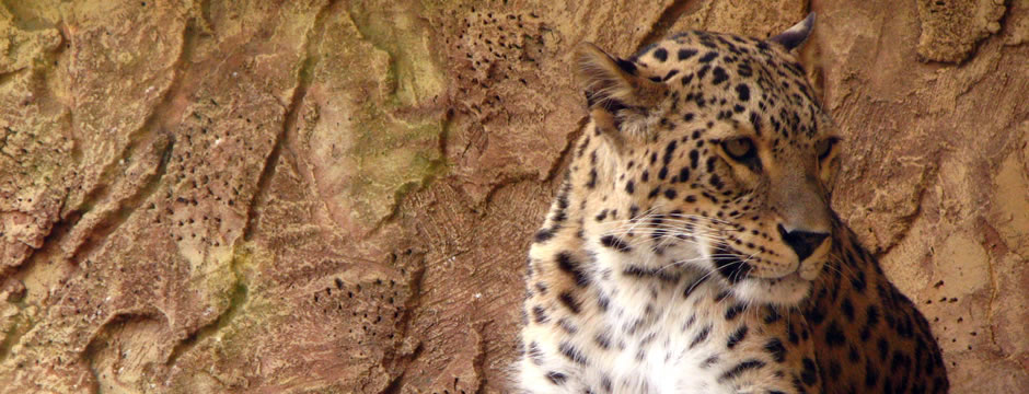 闪电发货的短信压力测试平台